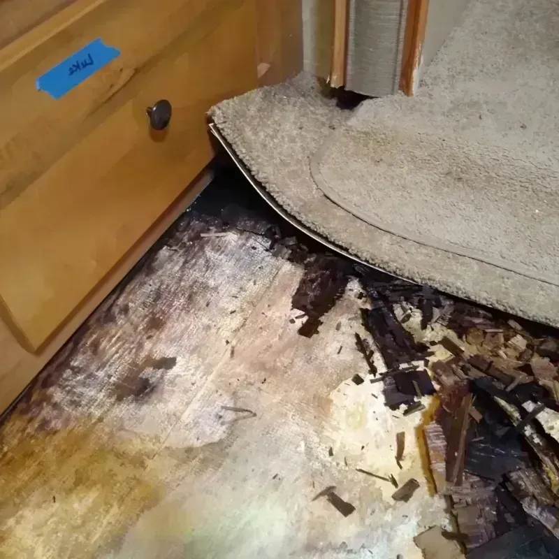 Wood Floor Water Damage in Babbitt, MN